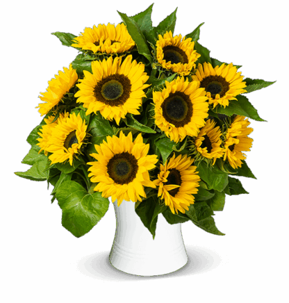 15 Sonnenblumen*