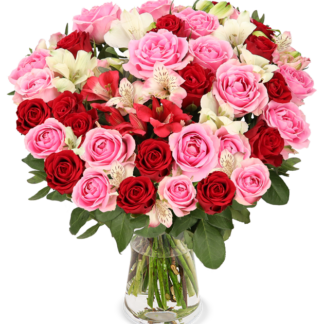 30 Stiele Rosenwunder XXL mit bis zu 100 Blüten*