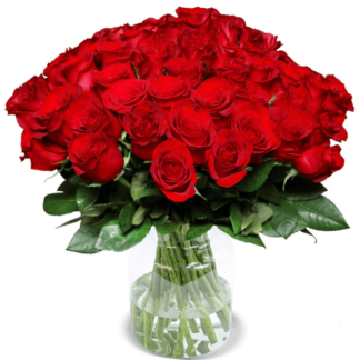 31 Rote Rosen*