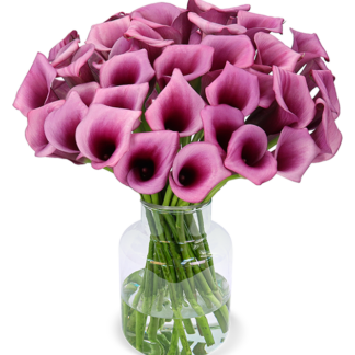 33 pinke Calla (40cm)*