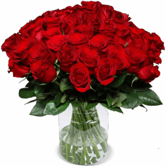 41 rote Rosen (40cm)*