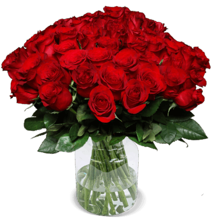 41 rote Rosen (40cm)*
