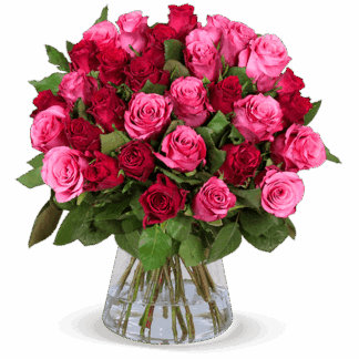 44 Rosen "RomanticRoses"*