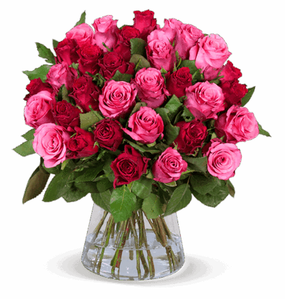 44 Rosen "RomanticRoses"*
