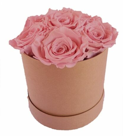 6x Infinity Rose Rosa als Geschenkbox - Haltbare Rosen*