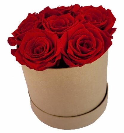 6x Infinity Rose Rot als Geschenkbox - Haltbare Rosen-*