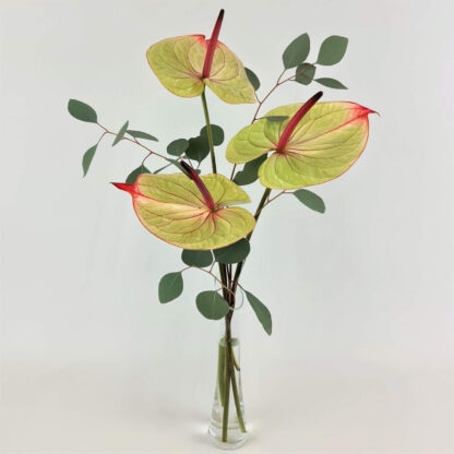 Blumenstrauß Anthurie*