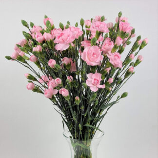 Blumenstrauß Nelken*