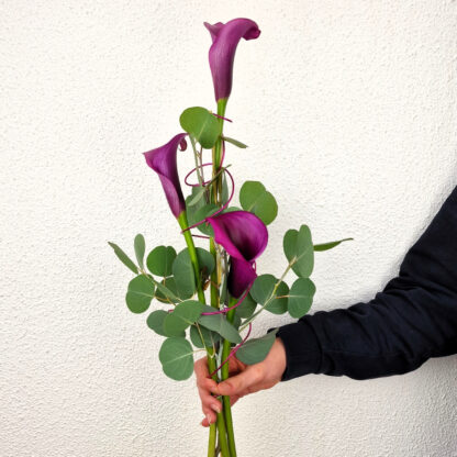 "Calla de luxe"*