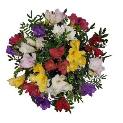 Freesien - Blumenstrauß mit eigenem Foto als Geschenk - versenden*