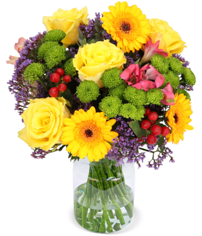 Alles Liebe*