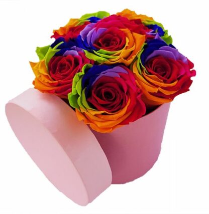 Rosen Rainbow - 6Stück Infinity Rose als Geschenkbox - Haltbare Rosen-*