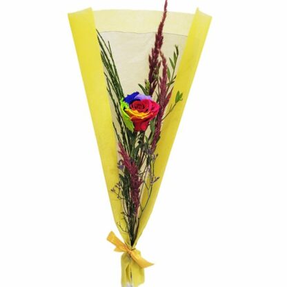 Rosen Rainbow - Infinity Rose als Geschenk - Haltbare Rosen*