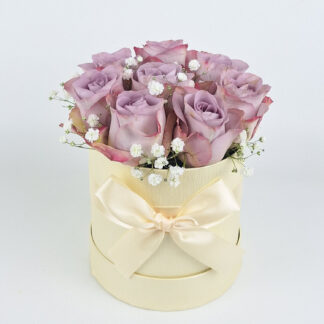 "Box Rhodos"*