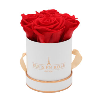 "Rosenbox Petit"*
