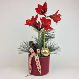 "Weihnachtszauber"*